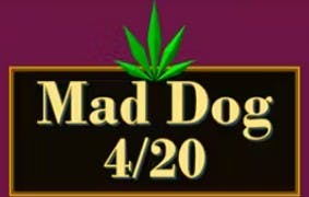 Headband - 14g - Flower - Mad Dog