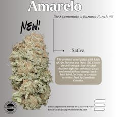 Suspended Brands Flower Amarelo 28g