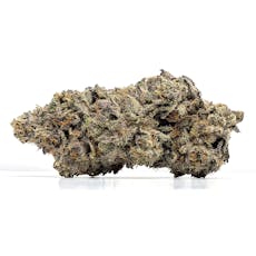 Gelato Cake