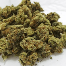 Jack Herer