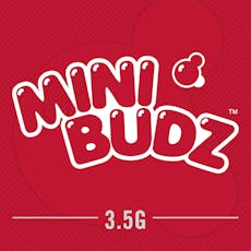 NWCS - Mini Buds - Watermelon Meringue 3.5g