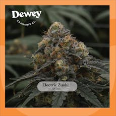 DWY Electric Zushi 3.5g