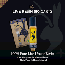 PJA:: Hash Burger - Elevated THC Cured Resin Vape 1g