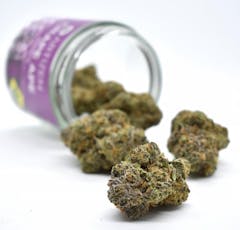Artizen FL Blue Raspberry Gelato 1g DOH