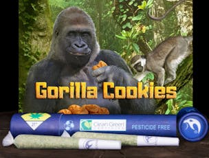 Falcanna PR 2pk Gorilla Cookies 1.2g
