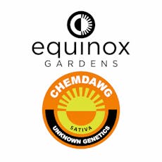 Equinox Cart LR Chemdawg 1g