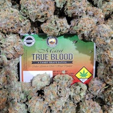 Bondi FL Maui Trueblood 1g