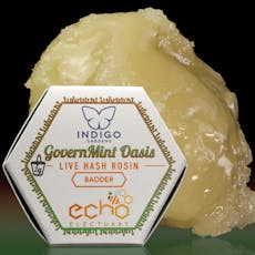 2G GovernMint Oasis Live Hash Rosin (Echo)