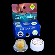 Falcanna CC Sugar Sea Monkey 1g