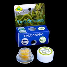 Falcanna CC Sugar Tree Octopus 1g