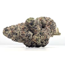 Meraki Gardens - El Chivo - Gold - I