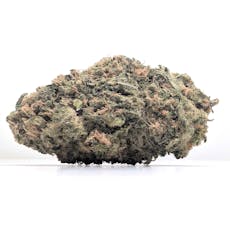 Nebadon Farms - Blue Dream - Gold - SH