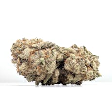 Purple Punch