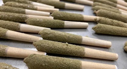 Stingers - 2pk .5g Liquid Diamonds Pre-Rolls - Hawaiian Haze - 1g