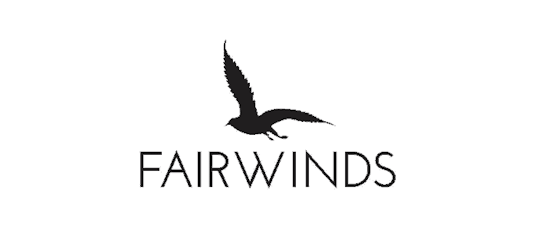 Fairwinds Flow Cooling Stick 900mg