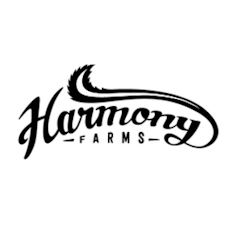 Harlequin CBD - 3.5g - Harmony