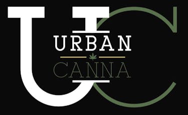 Urban Canna - Southern Sherb - Platinum - IH