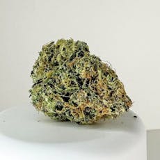 Herba - Hawaiian Dutch 3.5g