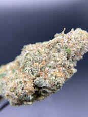 Flyte | Flower | Cap Junky | Hybrid