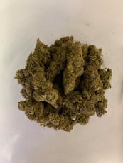 Wolfberry Glue Flower