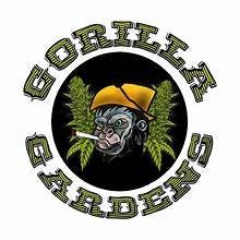 AK-48 HASH INFUSED PREROLL