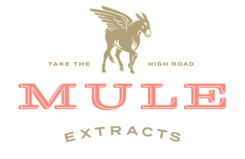 Mule Dragon Fruit Kicker 1:1 THC CBD