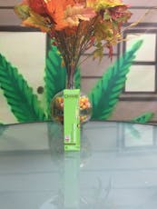 Dime - Tropical Kiwi - 2G Disposable