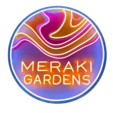MERAKI Strawberry Jam 2x0.5g Pre- Roll