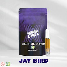 Jay Bird