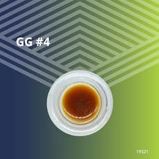 Original Glue Budder