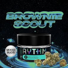 Brownie Scout