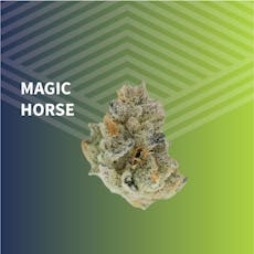 Magic Horse