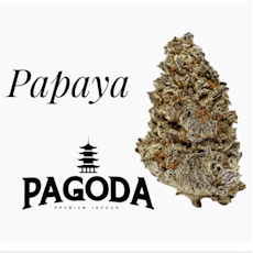 Papaya