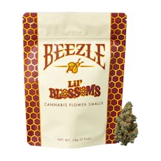 SFV OG