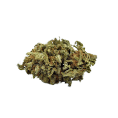 Royal Blueberry
