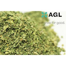 B Scout Select Grind | T27.40 | 00976 | 14G"