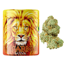 Narnia