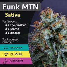 Funk MTN