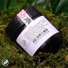 Lotion 1:1 I 26635