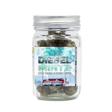 Diesel Mintz