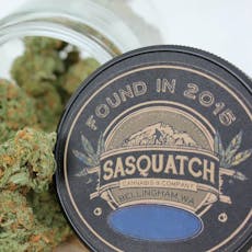 Dutch Treat