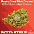 Santa Cruz Blue Dream