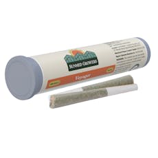 Voyager Pre-Roll 0.5g 2-Pack