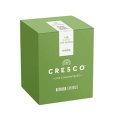 Mango Mintality