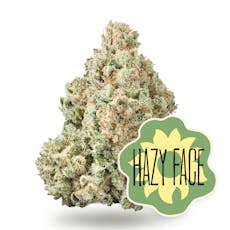 Hazy Face