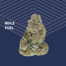 Mule Fuel