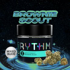 Brownie Scout