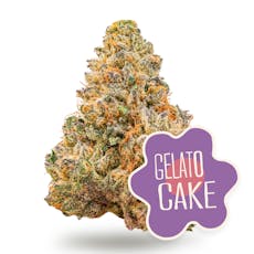 Gelato Cake