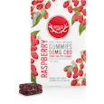 50mg Raspberry CBD Gummies (2-pack)