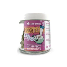 Laughing Gas | Sweetwater Farms - Mini Buds